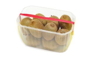 10 Net (2)